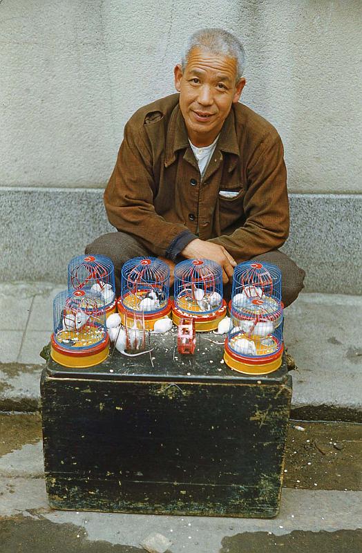 1952-3 Japan 102 White Mice.jpg